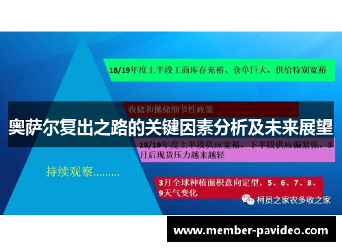 奥萨尔复出之路的关键因素分析及未来展望