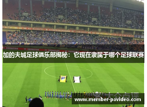 加的夫城足球俱乐部揭秘：它现在隶属于哪个足球联赛