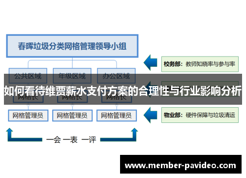 如何看待维贾薪水支付方案的合理性与行业影响分析